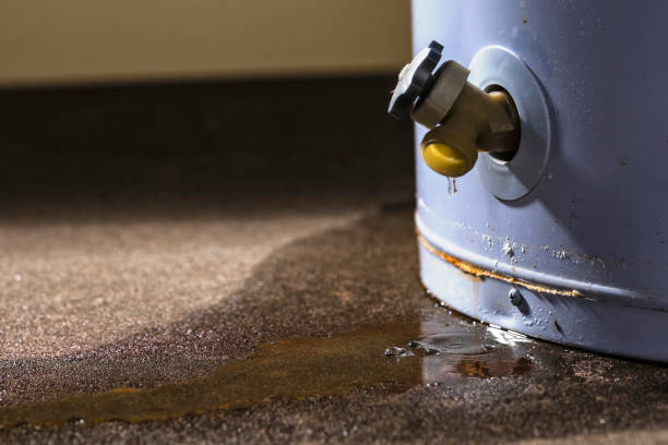 Best Emergency water damage restoration  in Brownsboro, TX