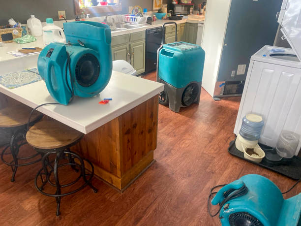  Brownsboro, TX Water damage restoration Pros