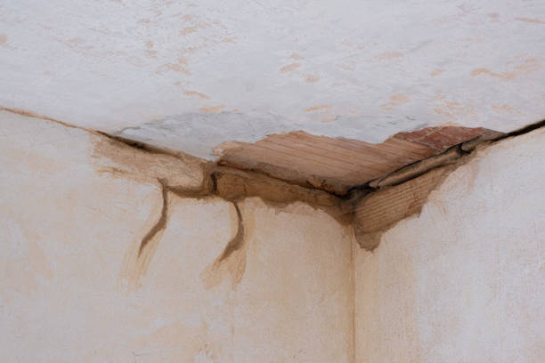 Best Water damage restoration specialists  in Brownsboro, TX