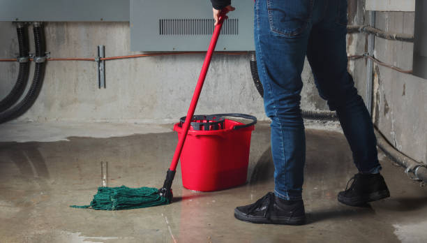 Best Fire Damage Restoration  in Brownsboro, TX