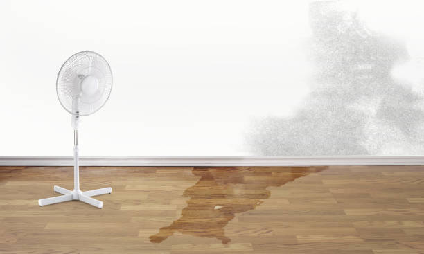Best Water damage restoration mold remediation  in Brownsboro, TX
