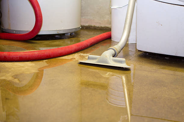 Best Water damage cleanup near me  in Brownsboro, TX