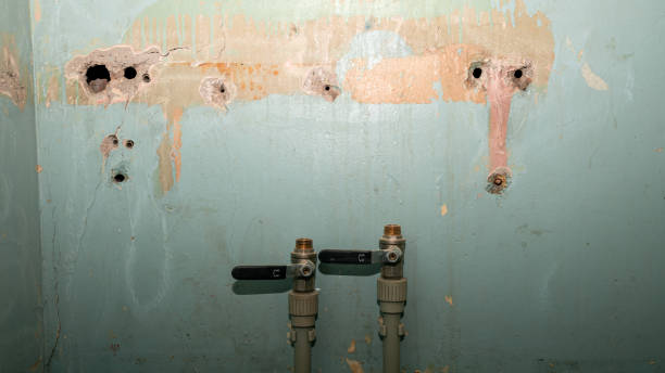 Best Flood damage cleanup  in Brownsboro, TX