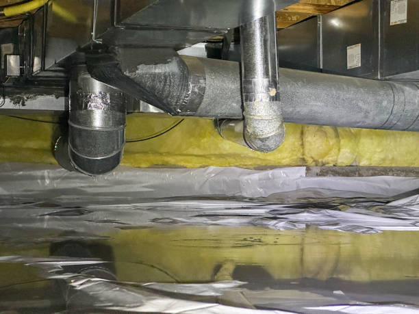 Best Sewage cleanup and water damage restoration  in Brownsboro, TX